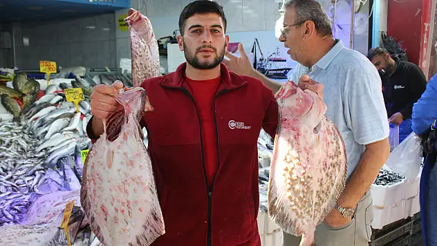 35 Yıllık Balıkçı Anlattı Kalkan Balığının Sırları Say Say Bitmiyor!