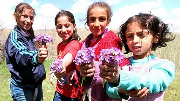Yasaklı yaylalar bayram yeri oldu
