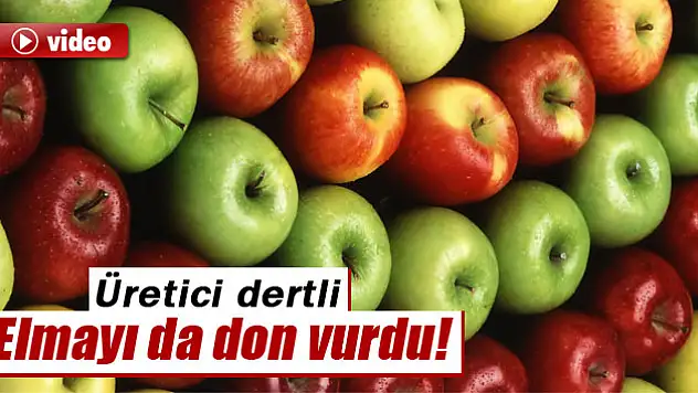Elmayı nisan ayında don vurdu