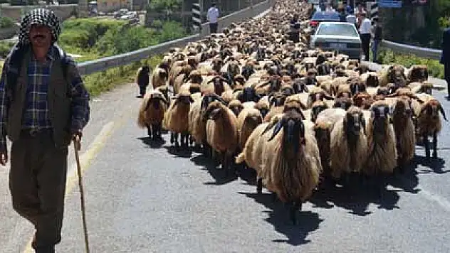 Göçerlerin zorlu yolculuğu başladı