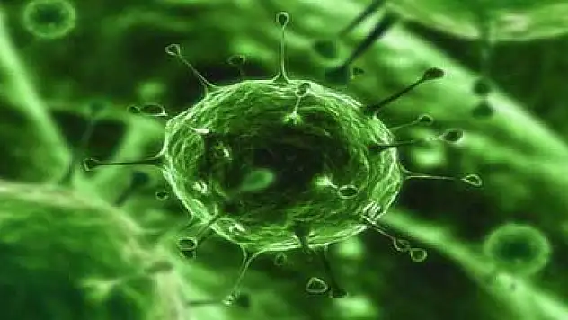 Sepsise dikkat, bilinmiyor ama öldürüyor