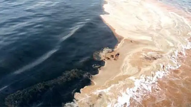 Denizde kahverengi tabaka Yalova'da da ortaya çıktı