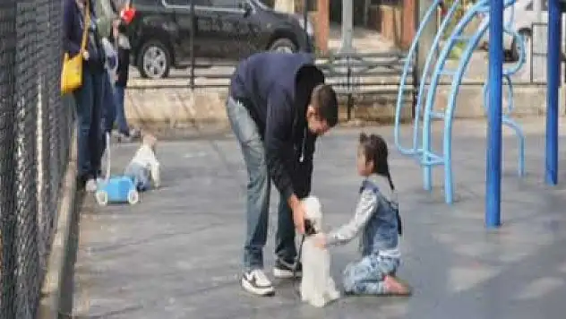 ABD'de sosyal deney çocukların güvende olmadığını ortaya koydu