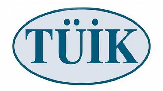 TÜİK AİLE İSTATİSTİK RAPORLARINI AÇIKLADI