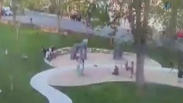 Parkta oyun oynarken üzerlerine ağaç devrildi