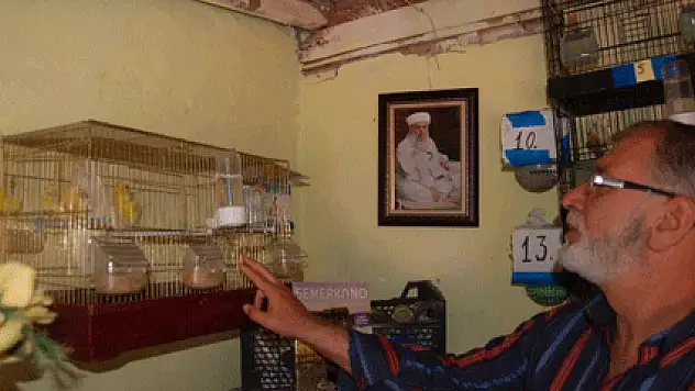 Kanarya sesi ile hayata tutundu