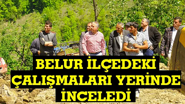 BELUR İLÇEDEKİ ÇALIŞMALARI YERİNDE İNCELEDİ