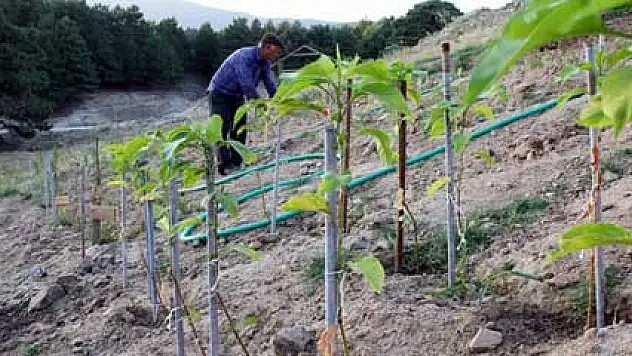 Erdoğan'a Kaz Dağları'ndan yerli tohum teşekkürü