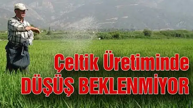 Çeltikte Ekim Dönemi