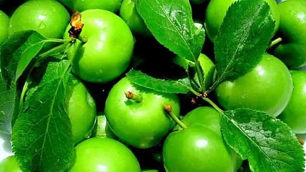 ERİK CİLDİNİZİ GÜZELLEŞTİRİYOR