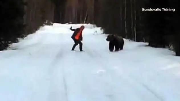 Avcı ayıyı korkuttu!