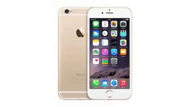 Fiyatı Asgari Ücretin 3 Katı!