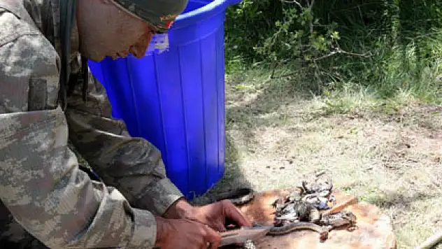 Komandoların arazi menüsü: Yılan, kurbağa ve tavuk