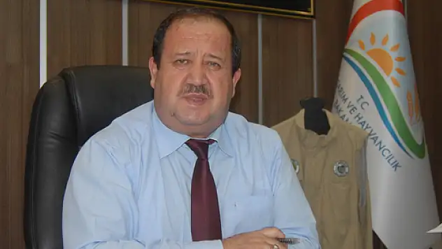 Samsun'da Kuş Gribi Var Mı?