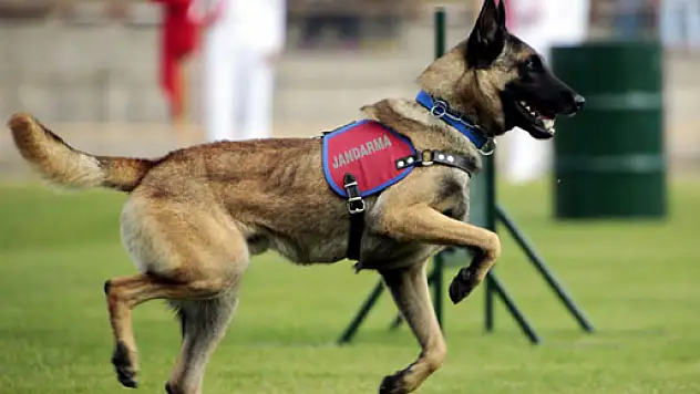 JAKEM kapılarını İHA'ya açtı