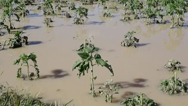 Çiftçiyi sel ve dolu vurdu