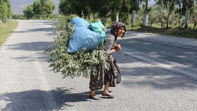 Sevgihan Teyze'nin hayat mücadelesi