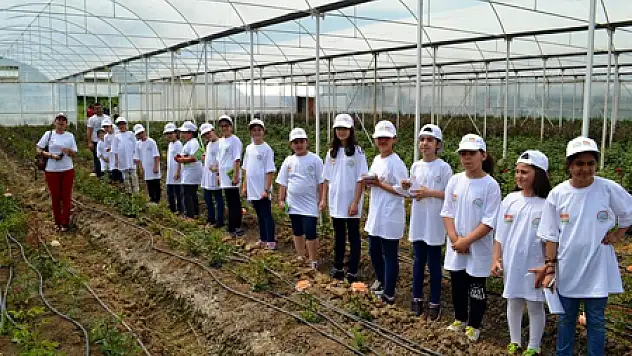 SAMSUN'DA LİDER ÇOCUK TARIM KAMPI SONA ERDİ