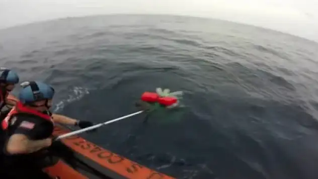 Okyanusun ortasında kaplumbağa kurtarma operasyonu