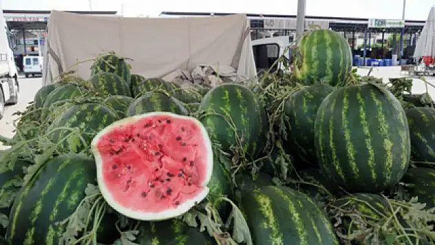 30 kuruşluk Antalya karpuzu elde kaldı