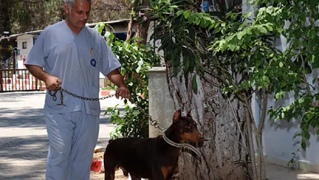 Lucky'nin inanılmaz değişimi