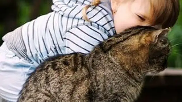 Kedi Beslemek Şizofren Ediyor