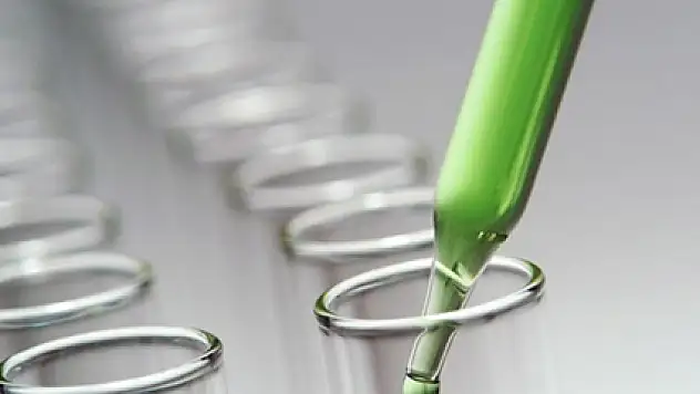 Kariyerlerini değil yumurtalarını donduruyorlar