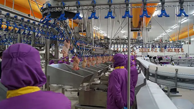 Kesilen tavuk ve hindi sayısı nisan'da arttı