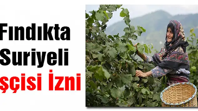 Fındıkta Suriye İşçisi İzni