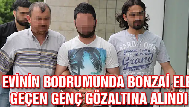 EVİNİN BODRUMUNDA BONZAİ ELE GEÇEN GENÇ GÖZALTINA ALINDI