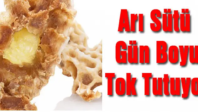 Arı sütü gün boyu tok tutuyor