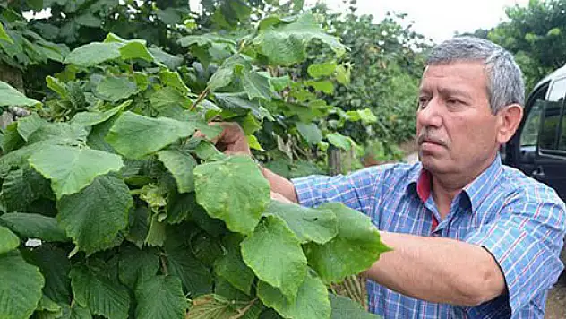 Fiskobirlik Üreticinin Ayağına Gidecek