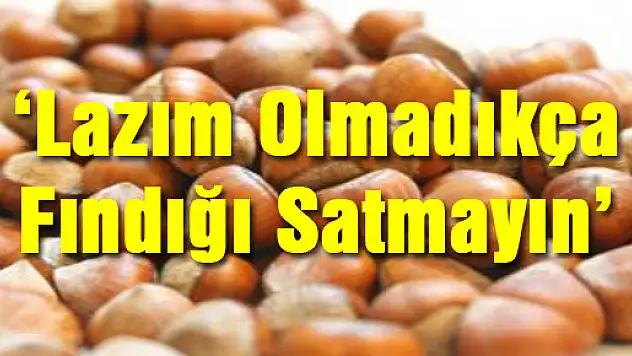 'Lazım Olmadıkça Fındığı Satmayın'