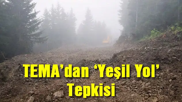 TEMA'dan 'Yeşil Yol' Tepkisi