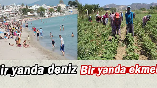 Bir yanda deniz bir yanda ekmek mücadelesi