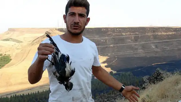 Karga 600 dönümlük araziyi kül etti