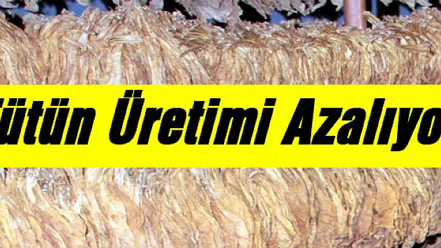 Tütün Üretimi Azalıyor