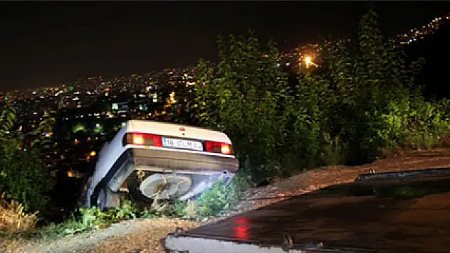 Eğer ağaç olmasaydı...