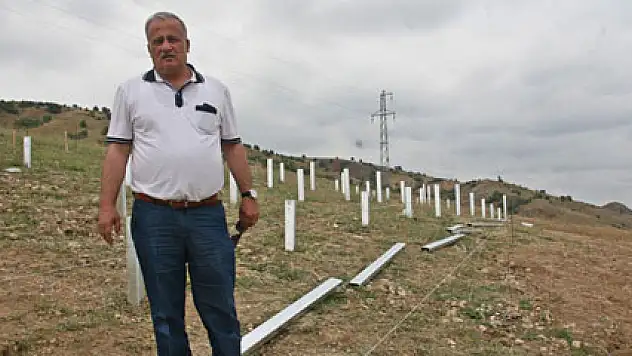 Otoyol kenarına kurduğu paneller ile devlete elektrik satacak