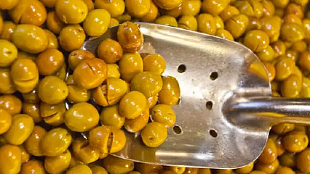 Marmarabirlik rekor tazeledi