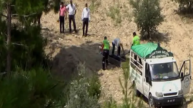 Osmaniye'de vahşet!Kafası gövdesinden ayrılmış şekilde bulundu!