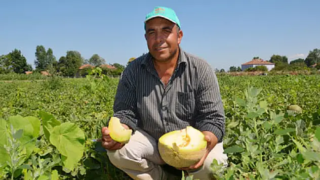 Kavun Üreticisi Fiyatlardan Şikayetçi