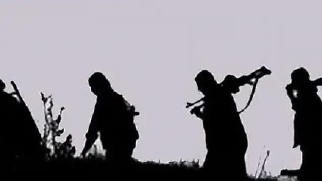 Diyarbakır'da terör örgütüne büyük darbe