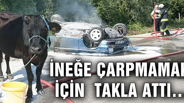ÖNÜNE ÇIKAN İNEĞE ÇARPMAMAK İÇİN…