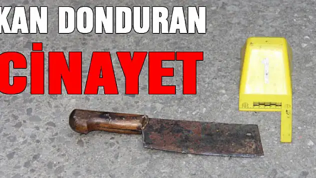 Çorum'da kan donduran cinayet!
