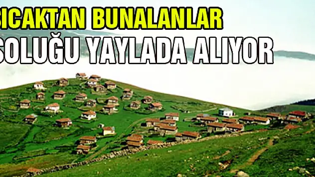 Sıcaktan bunalanlar soluğu yaylada alıyor
