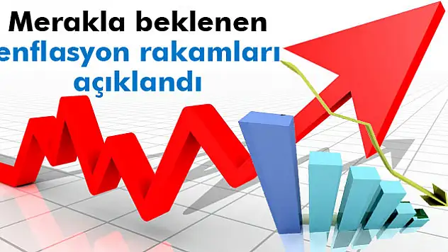 Enflasyon rakamları açıklandı