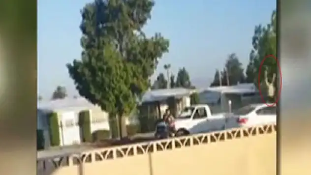 Metrelerce havaya uçtu !