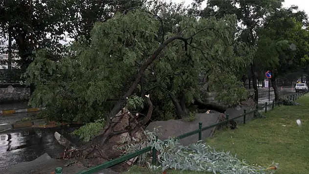 Manisa'yı fırtına yıktı geçti!