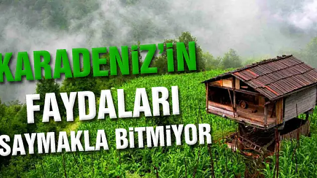 Karadenizin faydaları saymakla bitmiyor